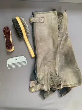 brosses et guêtres pour poney