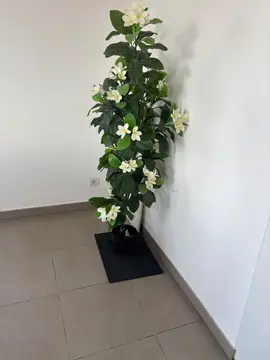 grande plante artificielle