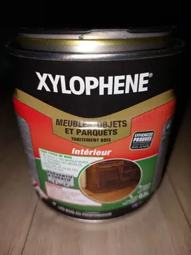 Peinture xilophene avec son pinceau