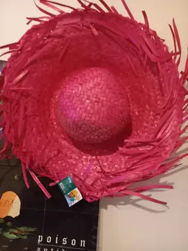 chapeaux en paille mais a nettoyer car poussière il m avais servis de deco