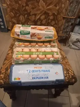 lot de 5 boite vide de œuf de 12 œufs