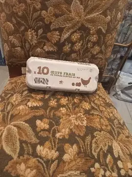 une boite vide de 10 œufs