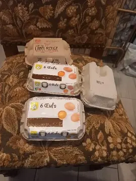 lot de 4 boite d œuf vide de 6 oeuf