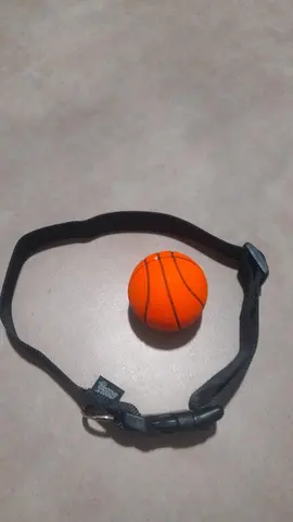 ensemble balle collier Neuf pour chien