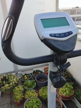 vélo d'appartement