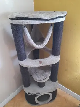 arbre à chats