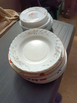 assiettes arcopal
