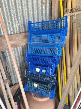 cagettes en plastique