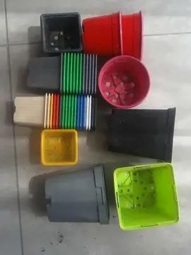 38 pots pour semis