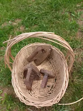 fer à repasser décoratif