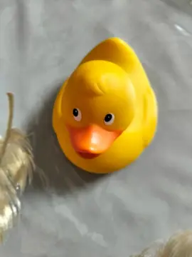 canard