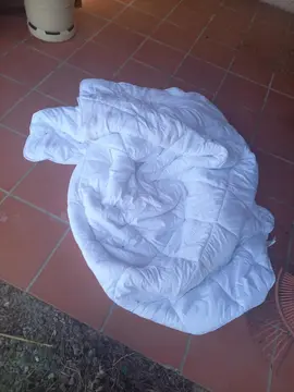 couette blanche tous tacher abimé pour chien