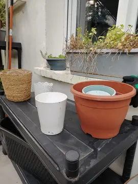 Pots de fleurs