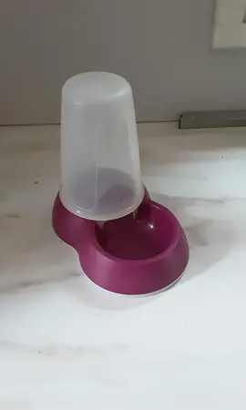 Mangeoire pour chat