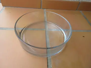 grand vase plat