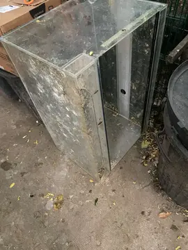 terrarium