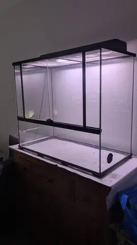 donne vivarium