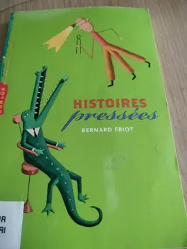 histoire pressées
