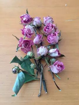 petit bouquet de roses séchées