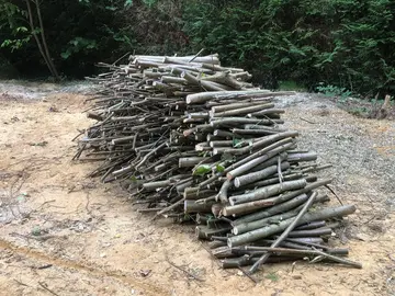 Tas de bois