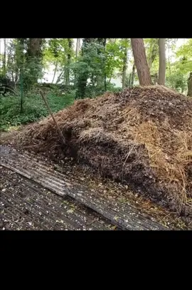 Fumier de Cheval