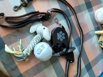accessoires pour grand chien