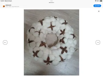 Couronne de fleurs de coton naturelles
