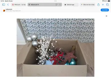 Carton de décorations de Noël