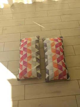 coussins en lot de 2