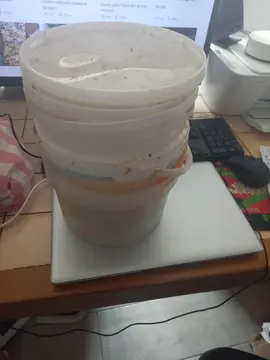 lot de plusieurs petit seaux en plastique avec et sans couvercle a laver