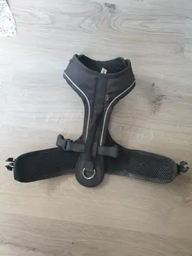 Harnais pour petit chien