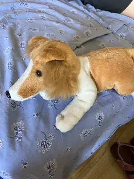 peluches chien’