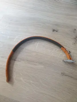 Collier pour chien