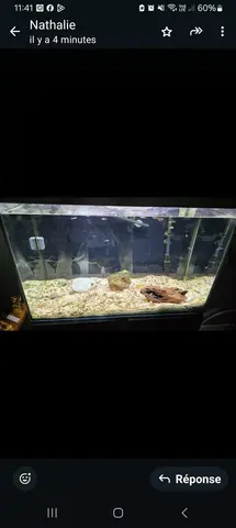 aquarium avec poissons
