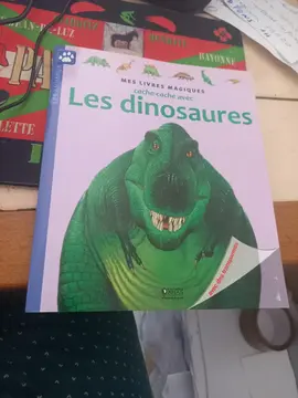pour enfant les dinosaure