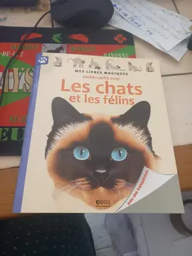 livre histoire chat