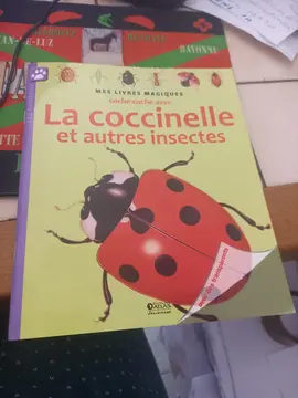 livre histoire coccinelle
