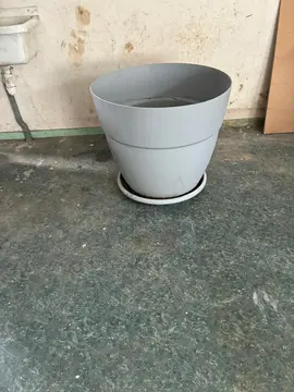 grande jardinière pour arbuste