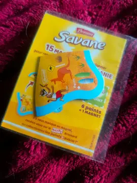 4 Magnets "Savane"