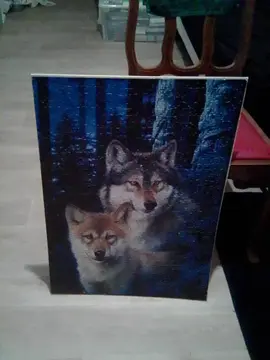 Puzzle motif loups bon etat colle sur planche fine