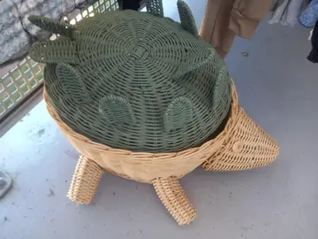 2 vases et un hérisson
