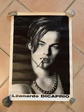 Poster Léonardo Di Caprio