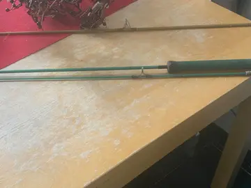 canne à pêche