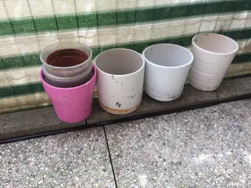 cache-pots