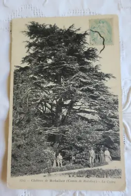Ancienne carte postale Château de ROTALIER Jura Comte de Rotalier Le cèdre.