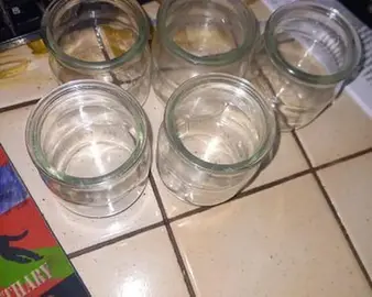 Lot de 5 pot en vers