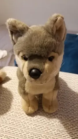 peluche chien