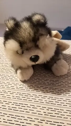 peluche chien