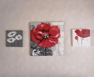Ensemble de 3 tableaux