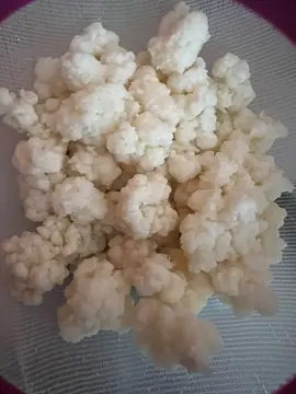 kéfir de lait